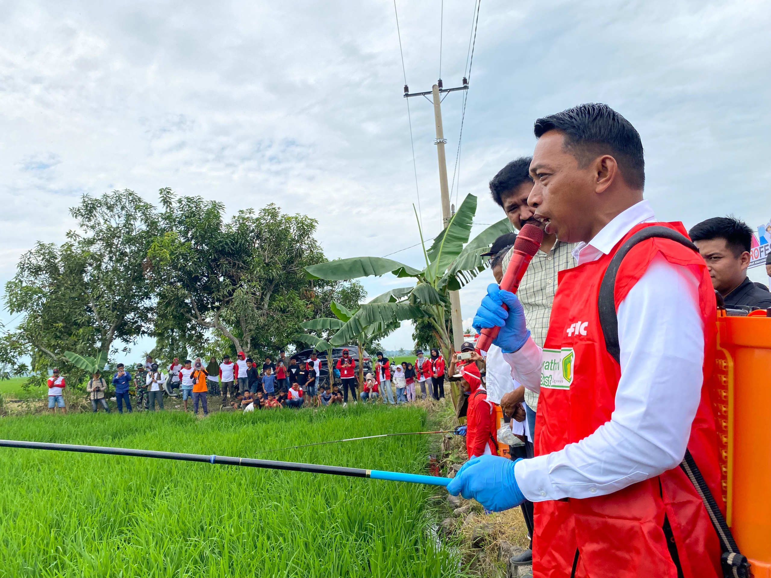 Bupati Sidrap Pimpin Penyemprotan Massal untuk Cegah Hama, Jaga Produksi Padi Musim Tanam Kedua