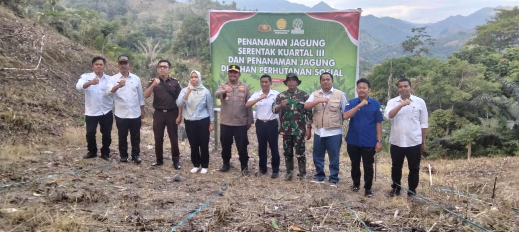Polres Enrekang bersama Pemkab Enrekang melaksanakan Penanaman Jagung Serentak Kuartal III di Kec. Anggeraja