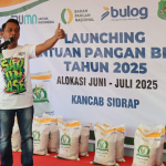 Bupati Sidrap Distribusikan 322 Ton Beras untuk 16 Ribu Warga: Negara Hadir di Tengah Rakyat
