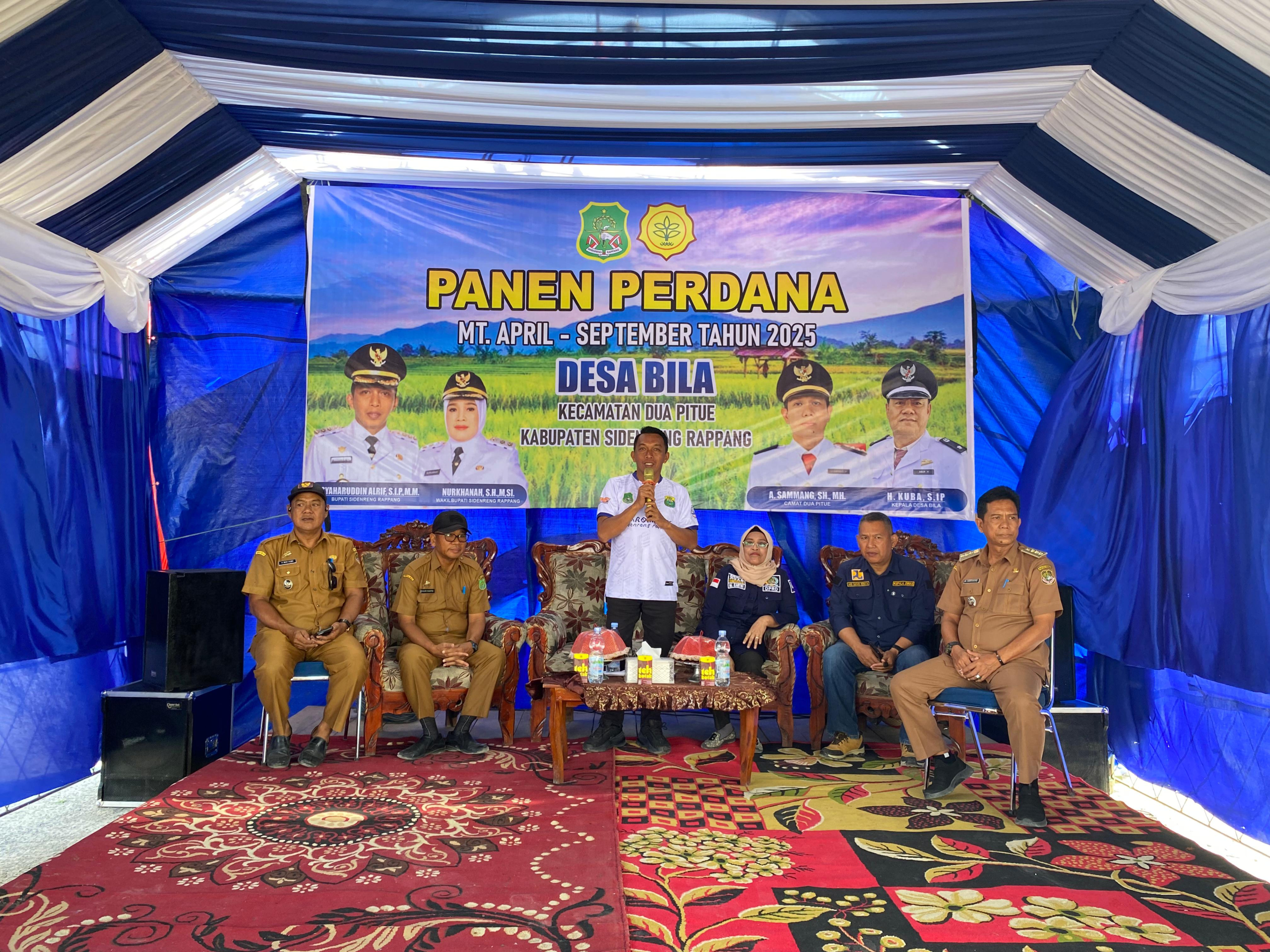 Panen Perdana di Bila Riawa, Bupati Syaharuddin Tegaskan Komitmen Majukan Pertanian, Pendidikan, dan Kesehatan di Sidrap