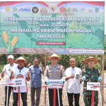 Kapolres Sidrap Tanam Jagung Serentak Bersama Forkopimda: Wujud Dukungan untuk Swasembada Pangan Nasional