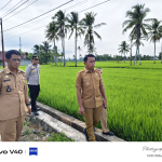 Berkah Zakat dan Pertanian Maju, Petani Bila Riase Sidrap Rasakan Lonjakan Hasil Panen
