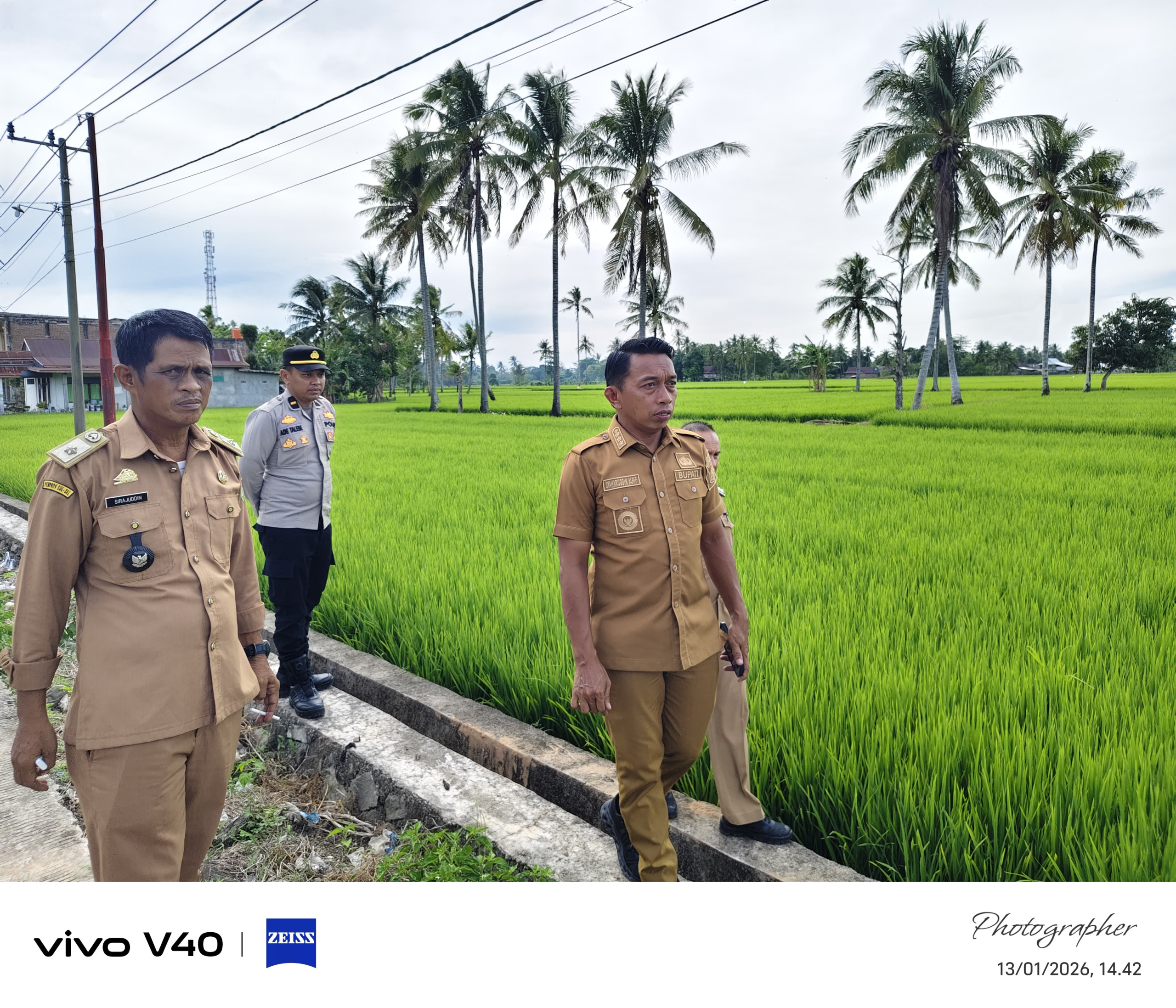Berkah Zakat dan Pertanian Maju, Petani Bila Riase Sidrap Rasakan Lonjakan Hasil Panen