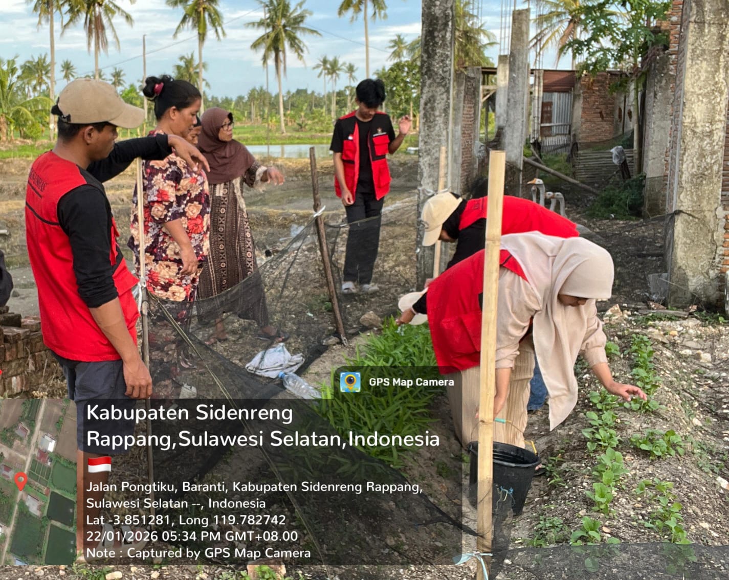 Mahasiswa KKN-T Unhas Gelombang 115 Manfaatkan Lahan Sempit untuk Dukung Kemandirian Pangan di Kelurahan Baranti