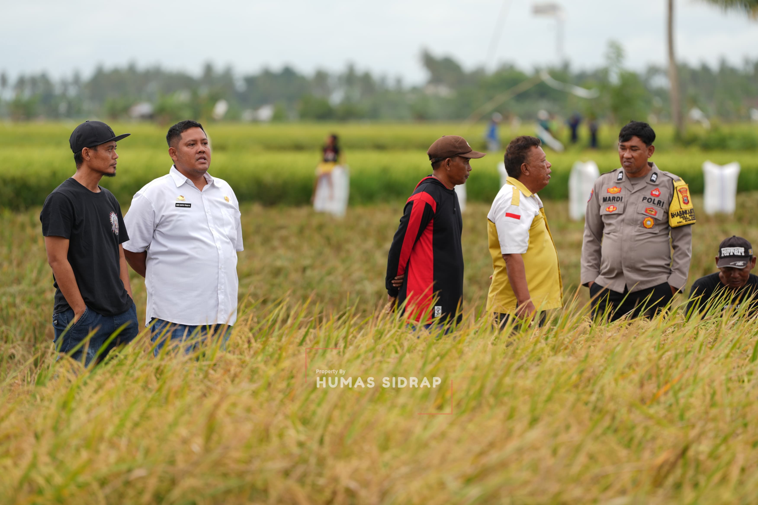 Bupati dan Kepala BBPP Batangkaluku Panen Perdana MT I di Desa Sereang