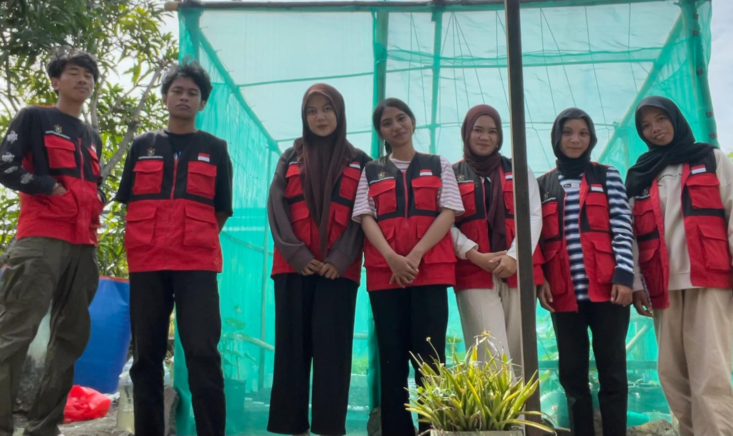 Mahasiswa KKN Unhas Dorong Pertanian Modern melalui Inovasi Greenhouse Terpadu dengan Sistem Hidroponik dan Aquaponik di Kelurahan Benteng Sidrap.