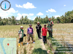 Dukungan Ketahanan Pangan, Babinsa Koramil 02/Enrekang Dampingi Tim supervisor Tinjau Lahan Non Rawa.