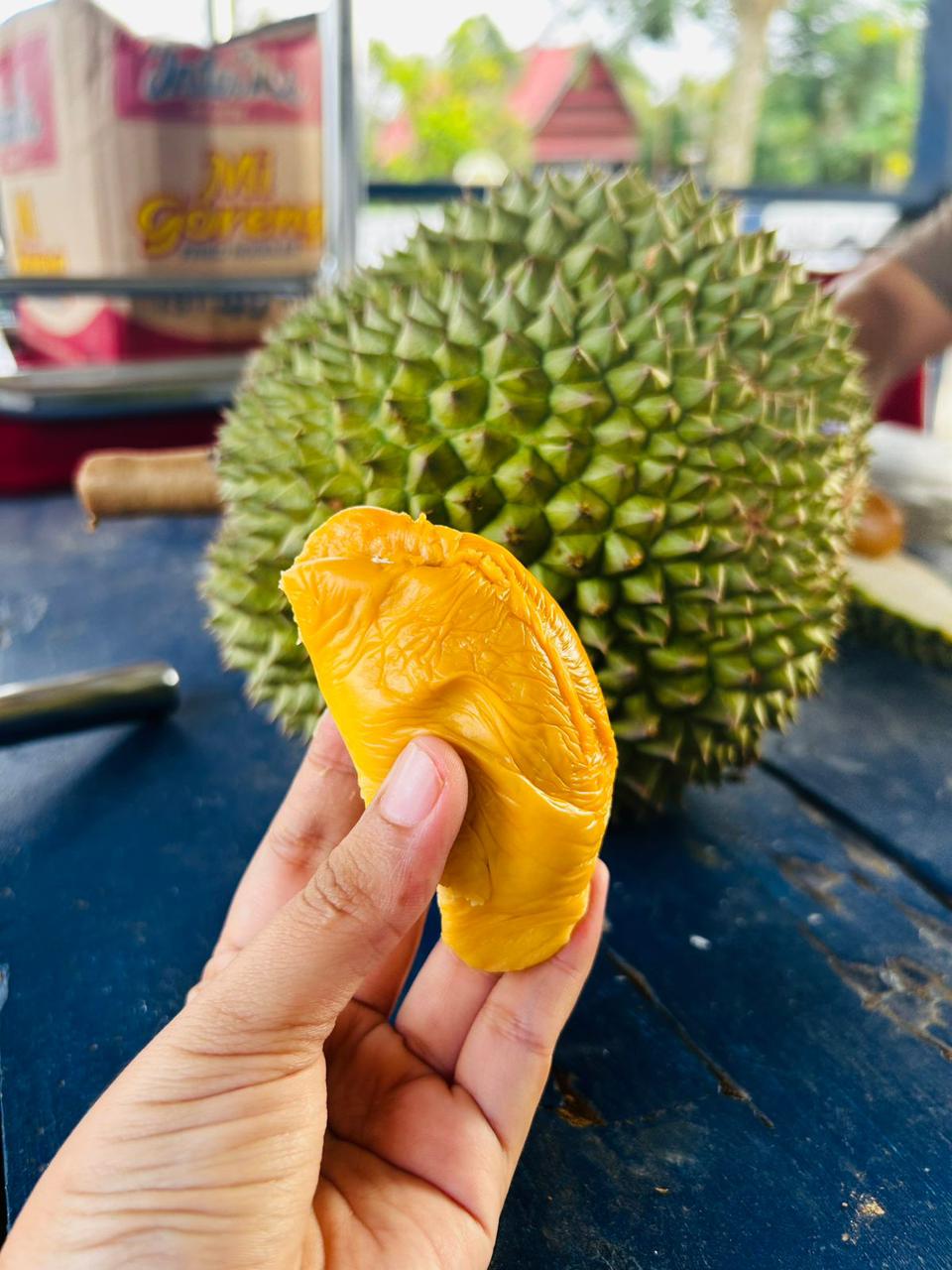 Desa Lombo semakin mengukuhkan dirinya sebagai sentra buah