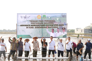 Pemkab Malinau Studi Tiru Pertanian Modern di Sidrap, Pelajari IP 300 hingga Teknologi Tanam