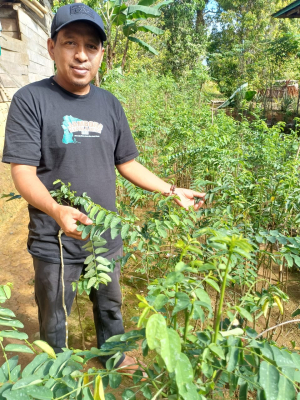 Warga Leppangeng Manfaatkan Pekarangan Rumah untuk Menanam Sayuran Bergizi Tinggi