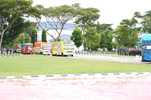 Sidrap Kirim 22 Ribu Rak Telur ke Berbagai Daerah, Perkuat Peran sebagai Sentra Produksi Nasional