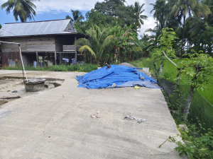 Rabat Beton Rp213 Juta Tanpa Papan Proyek di Ajubissue Jadi Sorotan, APH Diminta Turun Lakukan Pemeriksaan