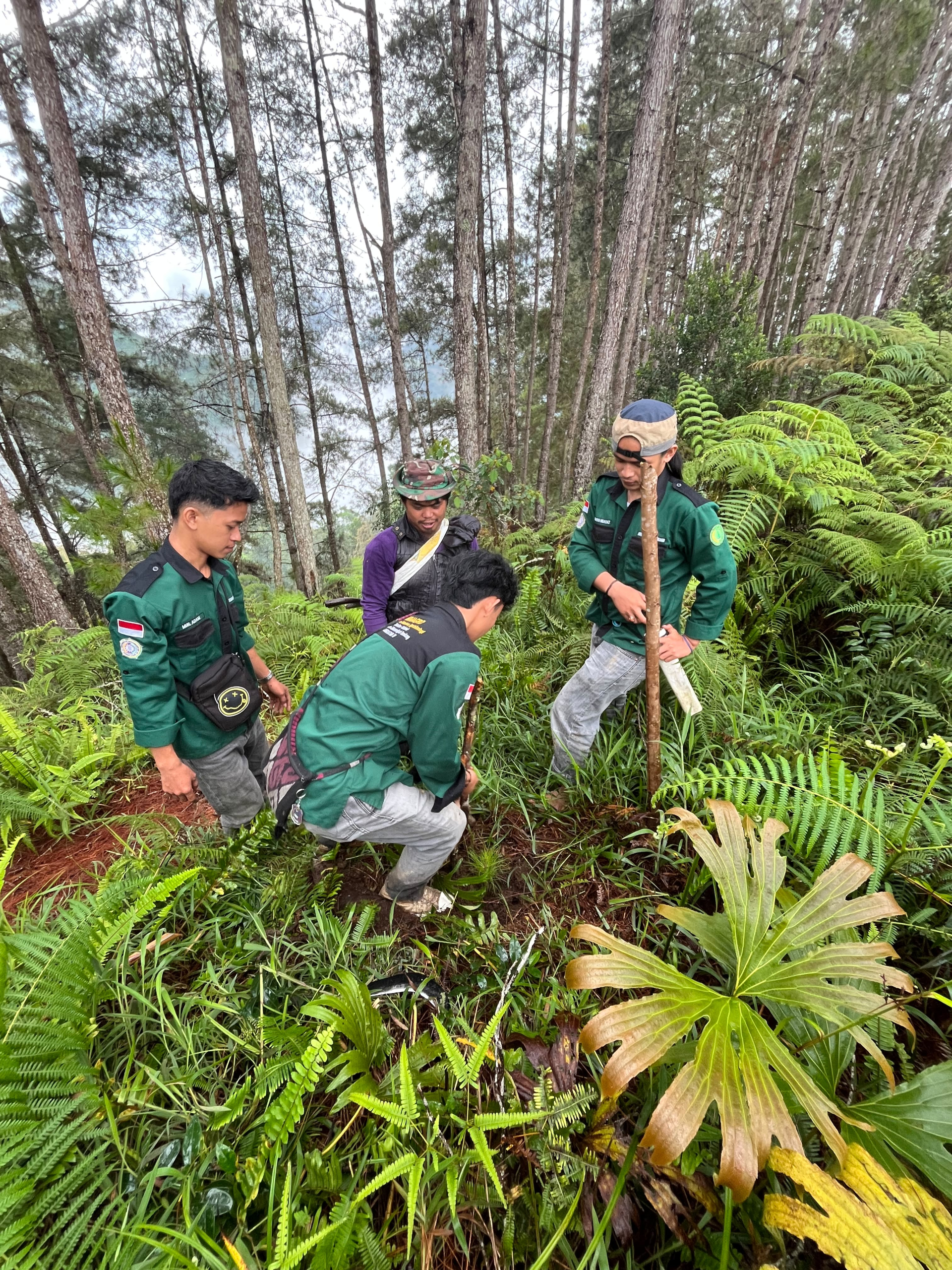 Penghijauan Hutan Pinus Pasongken, HIMAGRO UNIMEN Tegaskan Komitmen pada Lingkungan