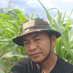 H. Alimuddin Ajak Warga Betao Riawa Tanam Jagung, Untuk Tingkatkan Pendapatan