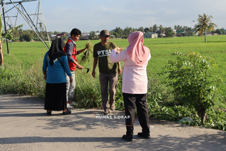 Jumat Bersih Timoreng Panua Jadi Ruang Kolaborasi Pemerintah, KKN Unhas, Pelajar, dan Warga