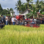 IP300 Dimulai di Bila Riase! Bupati Sidrap Yakin Pendapatan Petani Melonjak Hingga Rp80 Miliar
