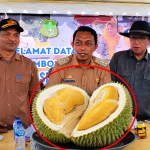 Rasa Sultan dari Pegunungan Sidrap, Durian Black Thorn Desa Lombo Siap Rebut Hati Pecinta Durian Indonesia