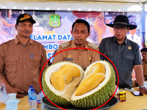 Rasa Sultan dari Pegunungan Sidrap, Durian Black Thorn Desa Lombo Siap Rebut Hati Pecinta Durian Indonesia