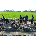 Pekerjaan Jalan Tani TMMD Ke-129 Kodim 1404/Pinrang Capai 35 Persen
