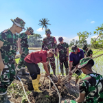 Satgas TMMD Ke-129 Kodim 1404/Pinrang Bersama Para Petani Gotong Royong   basmi Hama Tikus di Desa Tanratuo