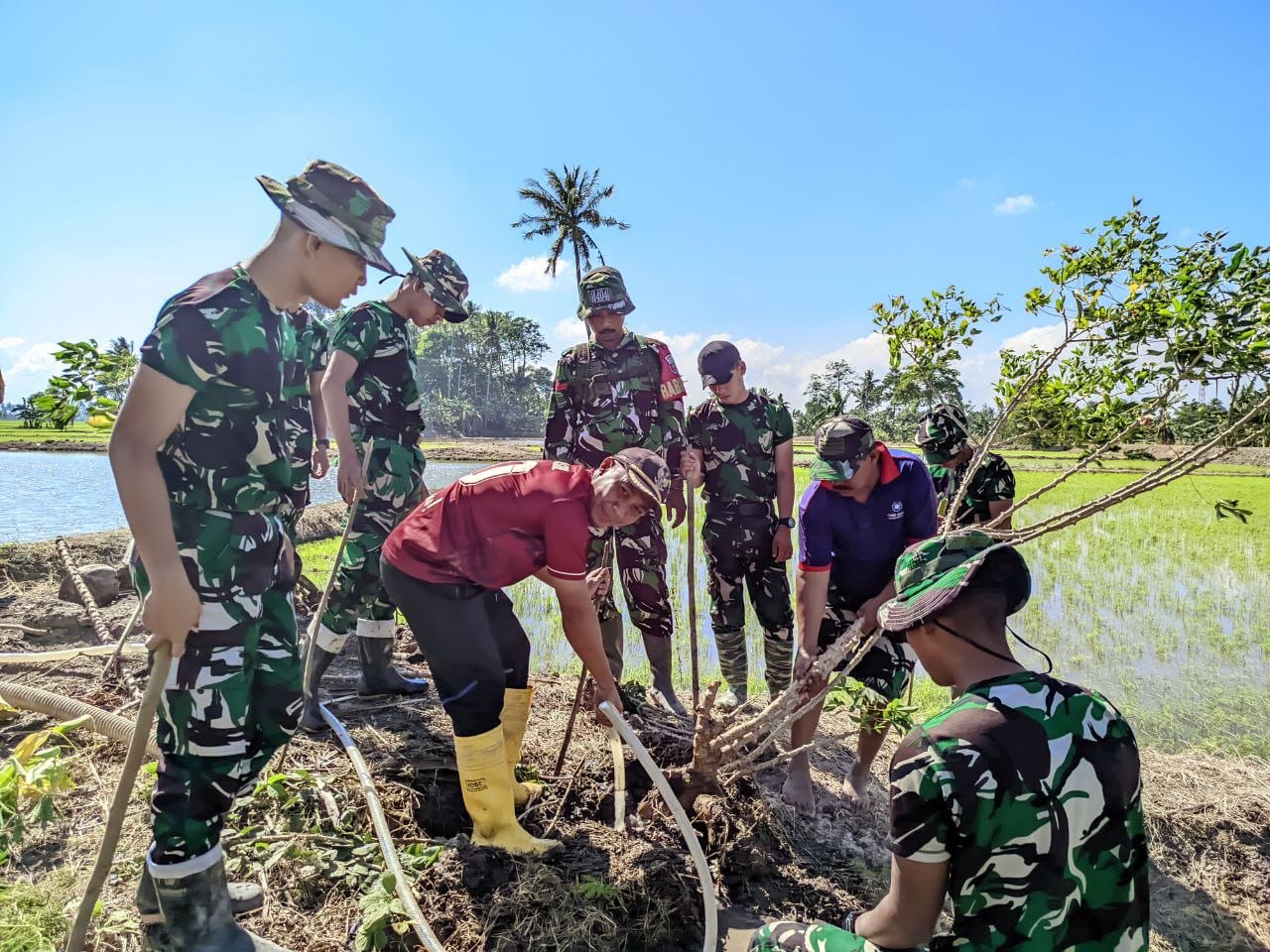 Satgas TMMD Ke-129 Kodim 1404/Pinrang Bersama Para Petani Gotong Royong basmi Hama Tikus di Desa Tanratuo