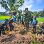Tingkatkan Hasil Panen Petani, Satgas TMMD Ke-129 Kodim 1404/Pinrang Bersama Warga Basmi Hama Tikus