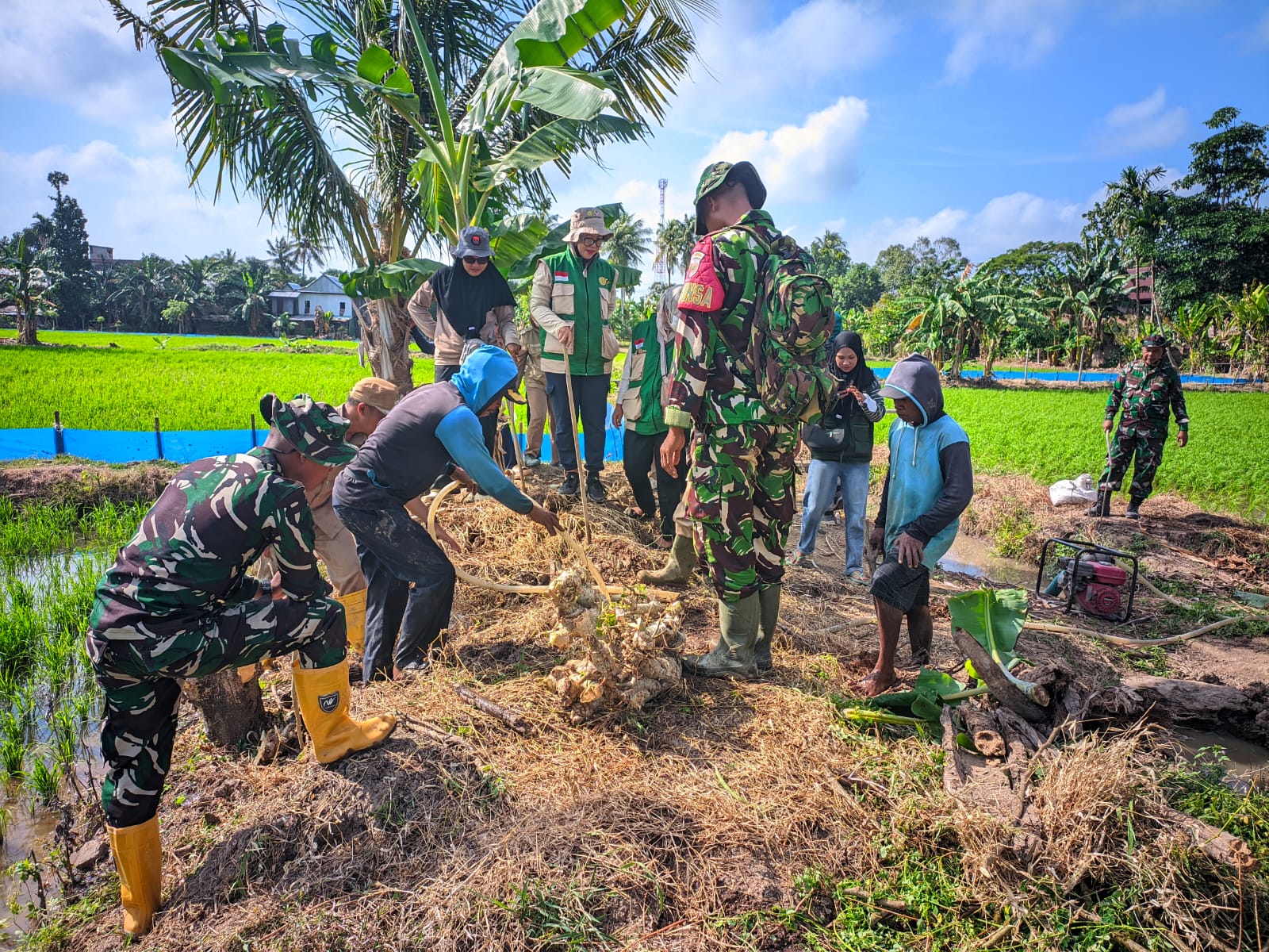 Tingkatkan Hasil Panen Petani, Satgas TMMD Ke-129 Kodim 1404/Pinrang Bersama Warga Basmi Hama Tikus