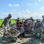 Satgas TMMD Ke-129 Kodim 1404/Pinrang Mempercepat Penyelesaian pekerjaan  Pembuatan Talud Jalan Tani di Desa Tanratuo