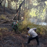Gerak Cepat Babinsa dan Bhabinkamtibmas Padamkan Kebakaran Hutan di Buntu Batu