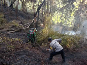 Gerak Cepat Babinsa dan Bhabinkamtibmas Padamkan Kebakaran Hutan di Buntu Batu