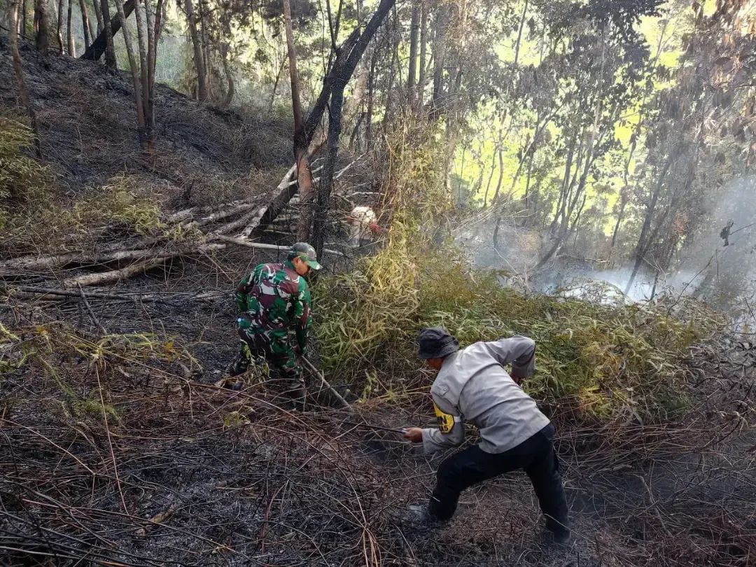 Gerak Cepat Babinsa dan Bhabinkamtibmas Padamkan Kebakaran Hutan di Buntu Batu