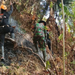 Babinsa Pantau Kebakaran Hutan Lindung di Dusun Katimbang, Upaya Pemadaman Terus Dilakukan