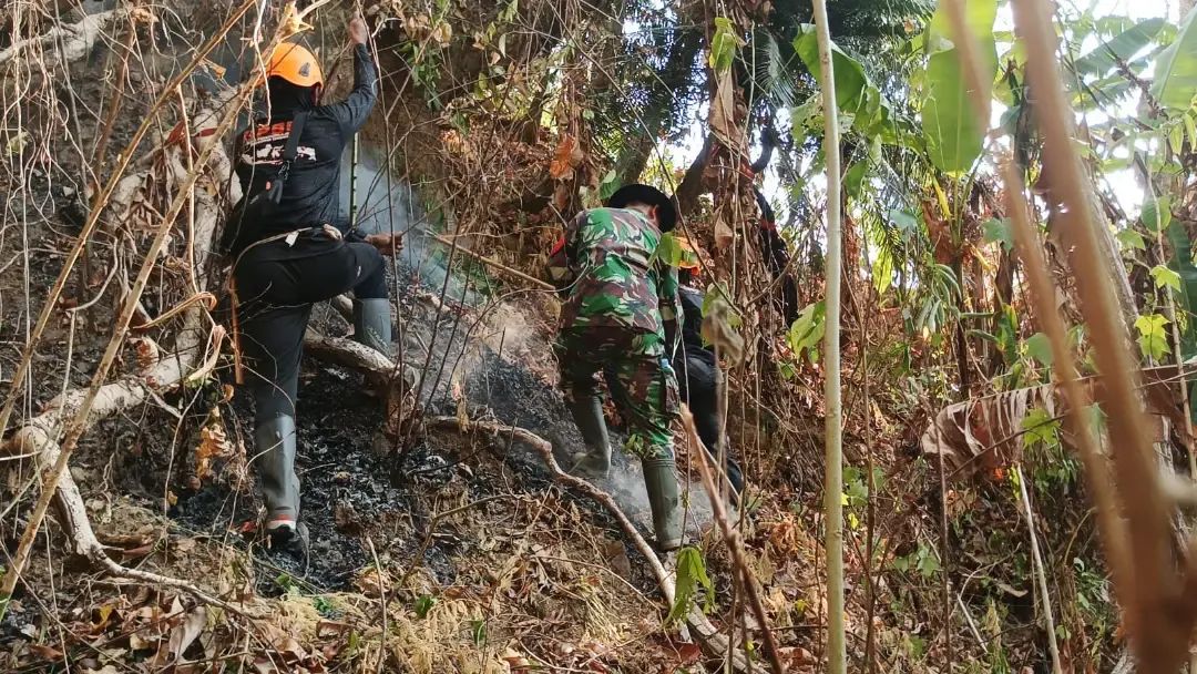 Babinsa Pantau Kebakaran Hutan Lindung di Dusun Katimbang, Upaya Pemadaman Terus Dilakukan