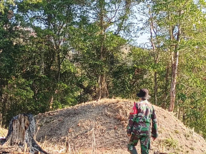 Babinsa Bersama Polhut, BPBD dan Masyarakat Padamkan Karhutla di Hutan Lindung Gunung Pandan Nyarang