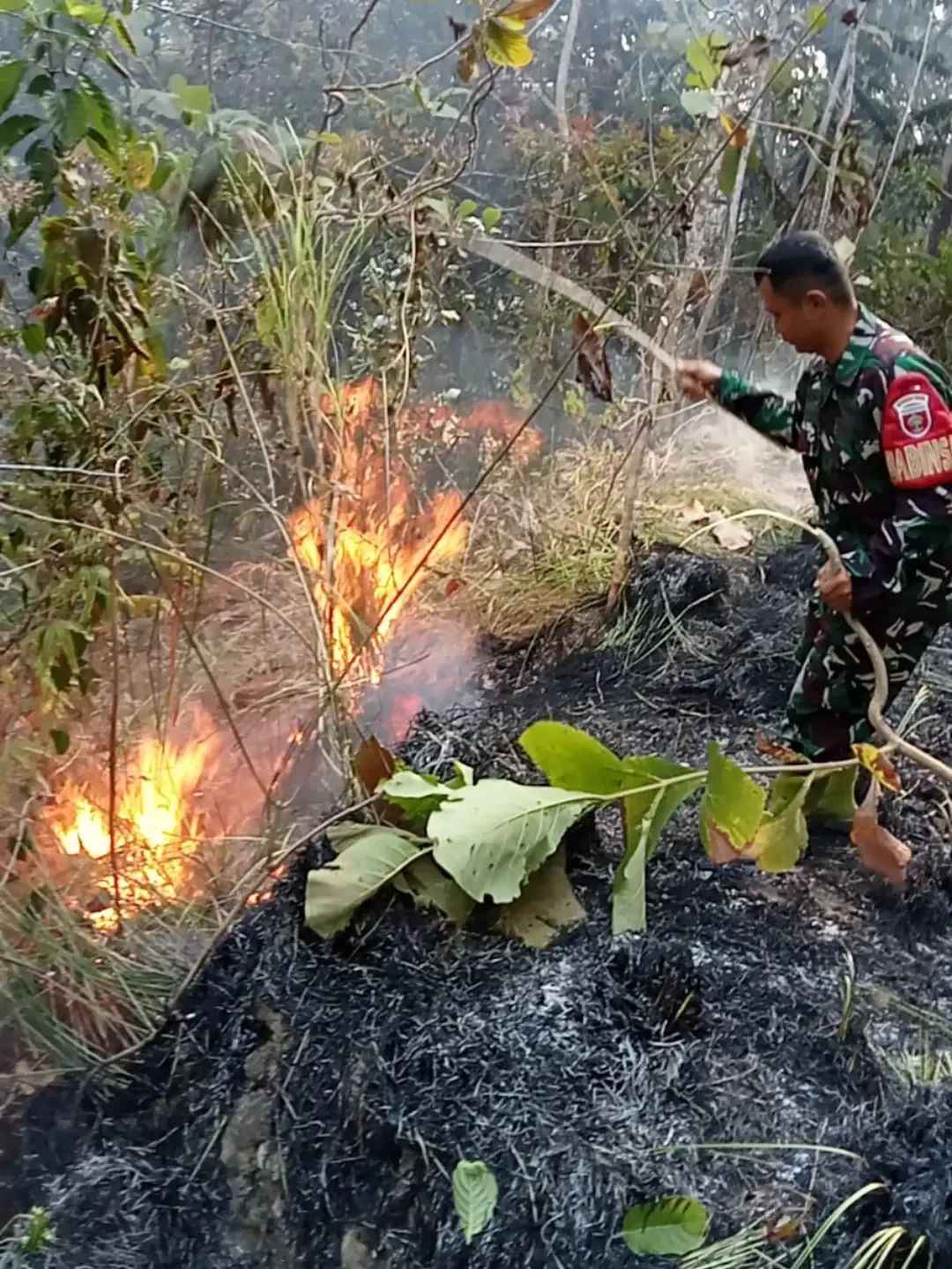 Babinsa Koramil 1419-02/Enrekang Bersama Masyarakat Padamkan Kebakaran di Kawasan Buttu Tabaro
