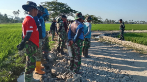 TMMD Ke 129  Kodim 1404/Pinrang  Mempercepat Progres Penyelesaian Pembangunan Jalan Tani.