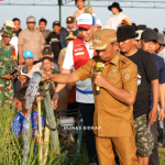 Bright Gas 5,5 Kg Pertamina Dukung Pompanisasi Pertanian Sidrap, Jadi Percontohan Nasional