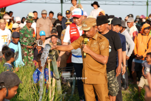 Bright Gas 5,5 Kg Pertamina Dukung Pompanisasi Pertanian Sidrap, Jadi Percontohan Nasional