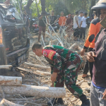 Babinsa Koramil 1419-02/Enrekang Bersama Damkar dan PLN Evakuasi Pohon Tumbang Tutup Akses Jalan