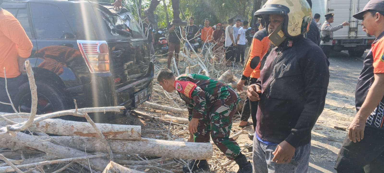 Babinsa Koramil 1419-02/Enrekang Bersama Damkar dan PLN Evakuasi Pohon Tumbang Tutup Akses Jalan