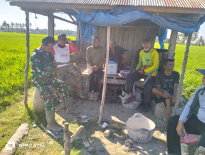 Serap Aspirasi Petani, Babinsa Koramil 1404-05/Patampanua Bahas Beragam Kendala Pertanian
