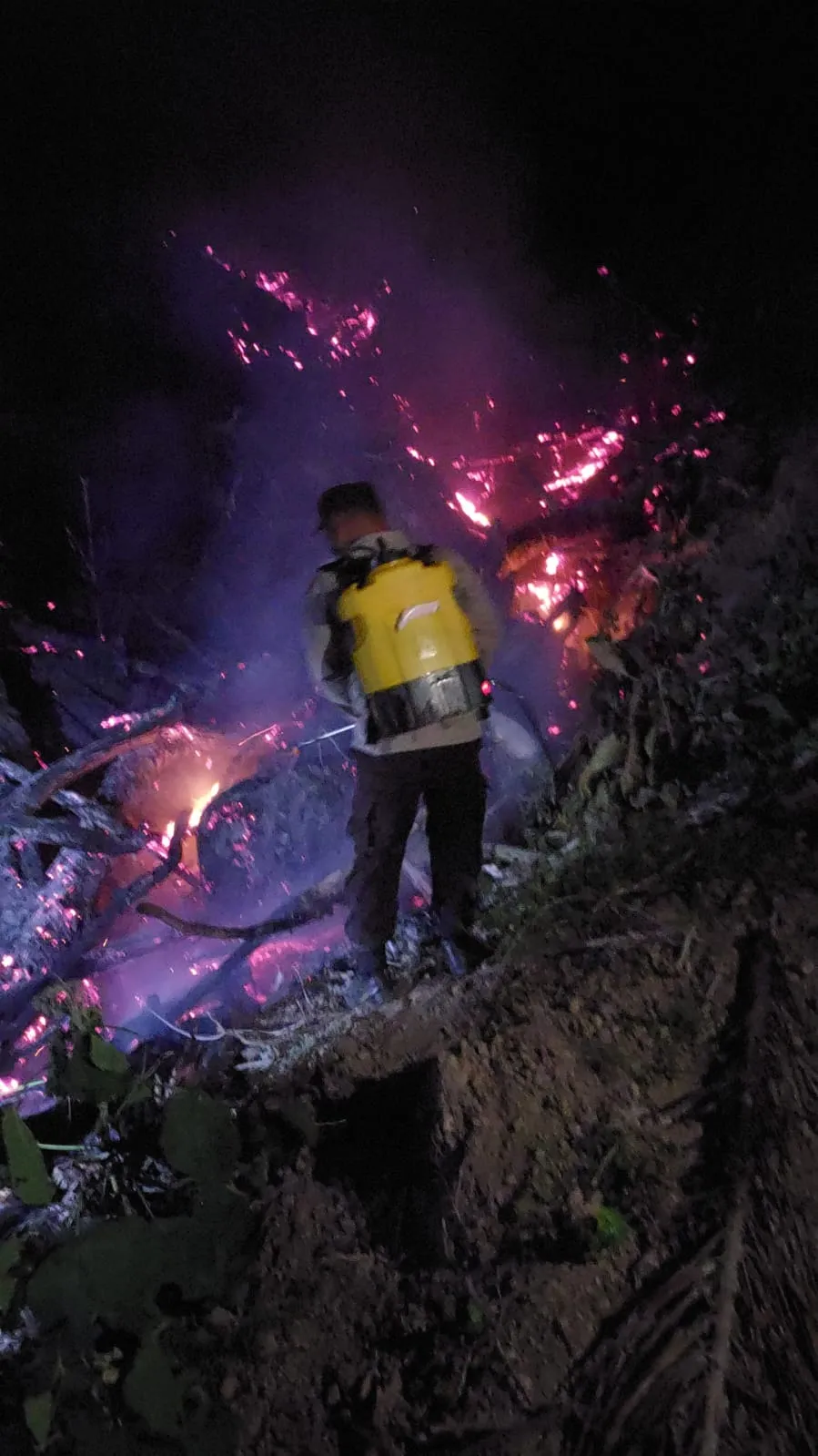 Kapolsek Maiwa Bersama Anggota Polsek, Koramil, dan Warga Padamkan Kebakaran Lahan di Dusun Malino I Desa Batu Mila