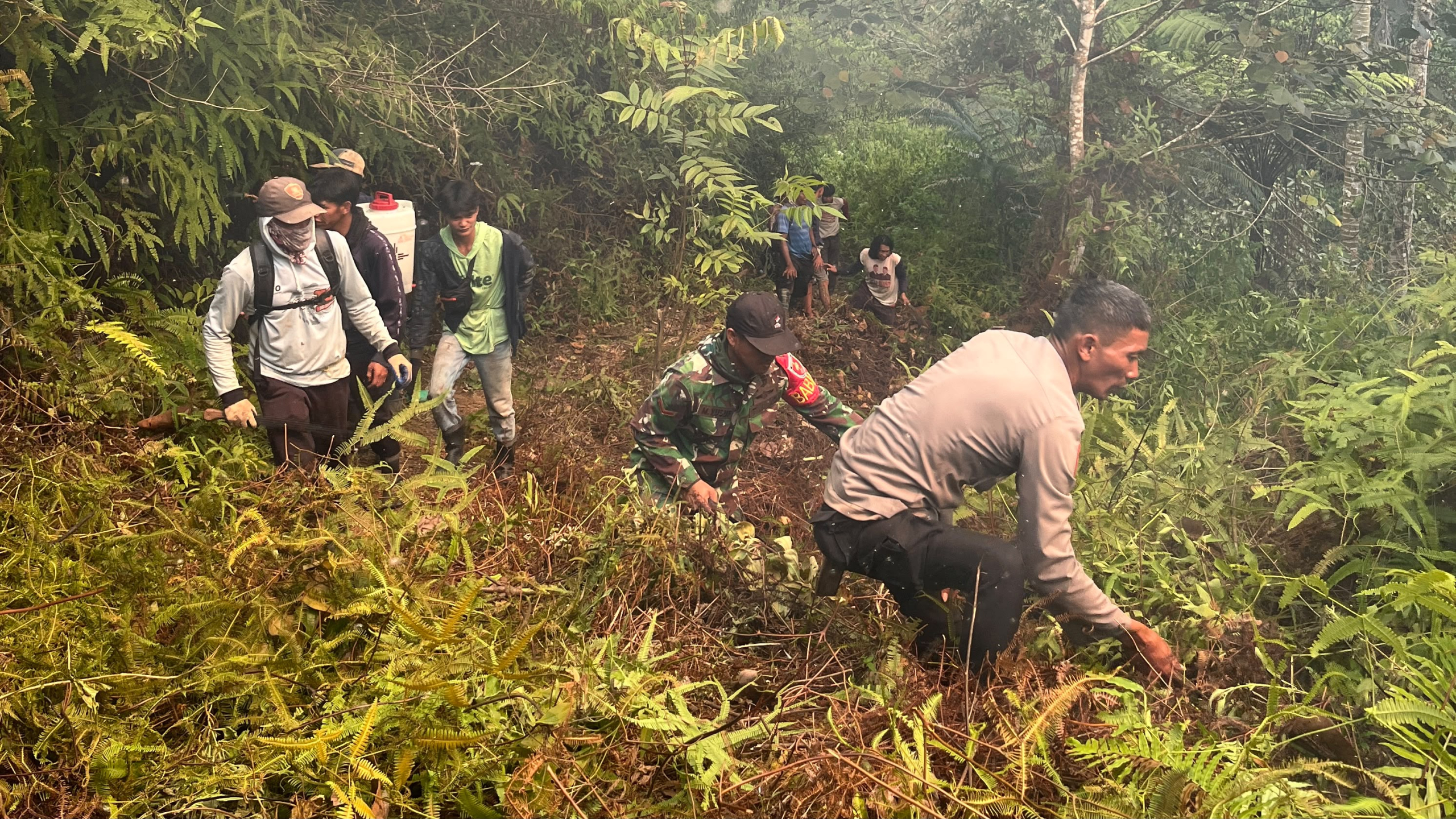 Kebakaran Lahan Kembali Terjadi di Pegunungan Dante Koa, 1 Hektare Lahan Terbakar