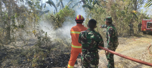 Gerak Cepat TNI-Polri dan Damkar Jinakkan Kebakaran Lahan 2 Hektare di Malimpung