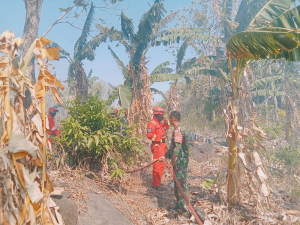 Gerak Cepat TNI-Polri, Damkar dan Warga Padamkan Kebakaran Kebun Pisang Seluas 1 Hektare di Makkawaru