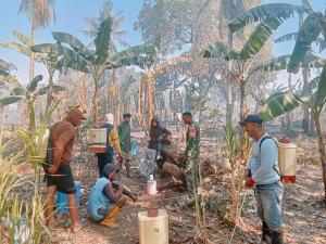Gerak Cepat TNI-Polri, Damkar dan Warga Padamkan Kebakaran Kebun Pisang Seluas 1 Hektare di Makkawaru