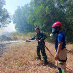Api Meluas Diterpa Angin, Sinergi TNI-Polri dan Damkar Padamkan Kebakaran Lahan 4 Hektare di Desa Sipatuo