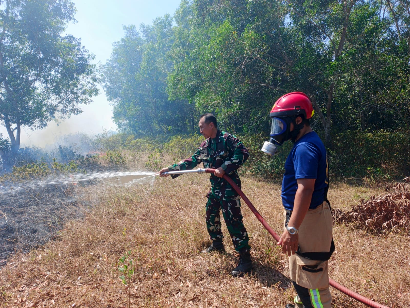 Api Meluas Diterpa Angin, Sinergi TNI-Polri dan Damkar Padamkan Kebakaran Lahan 4 Hektare di Desa Sipatuo