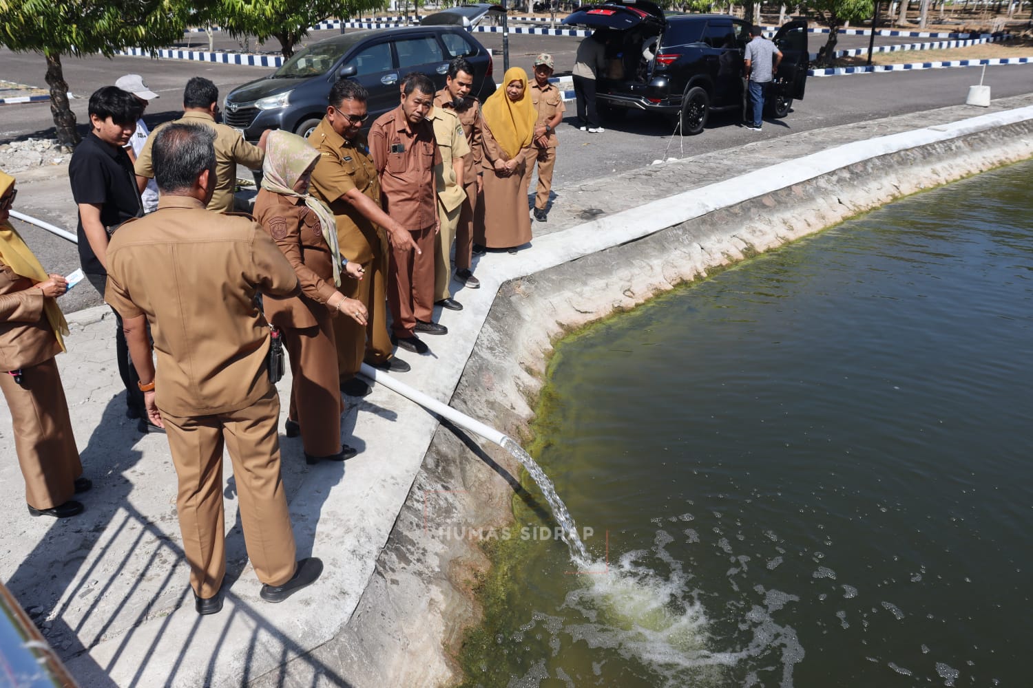 10 Ribu Benih Nila Monoseks Hasil BBI Sidrap Ditebar di Kolam Kantor Bupati