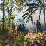 Api Lahap 3 Hektare Lahan Kosong di Sipatuo, Babinsa dan Warga Bergerak Cepat Padamkan Kebakaran